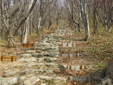 Лестница, ведущая к пяти пагодам храмового ансамбля Госядо.