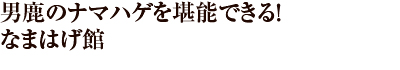 男鹿のナマハゲを堪能できる！　なまはげ館