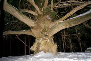 Namahage Event in Shinzan area, Oga City 18